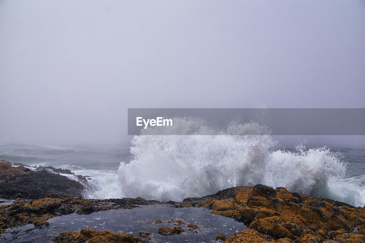 sea, water, ocean, wave, shore, motion, rock, coast, beauty in nature, wind wave, power in nature, horizon, breaking, beach, body of water, nature, land, scenics - nature, sky, water sports, no people, splashing, sports, environment, cloud, fog, outdoors, blowhole, hitting, morning, storm