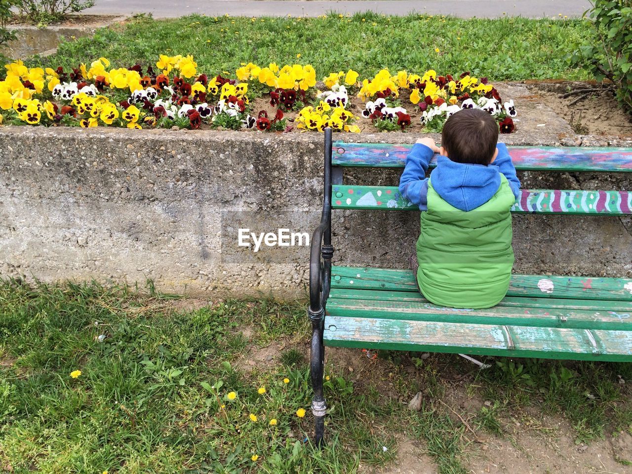Rear view of boy looking at flowers while sitting on bench in park