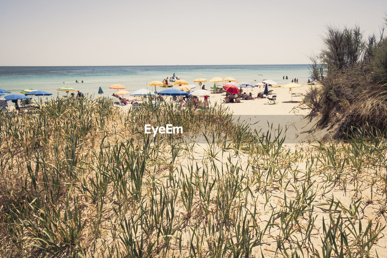 Scenic view of beach against clear sky