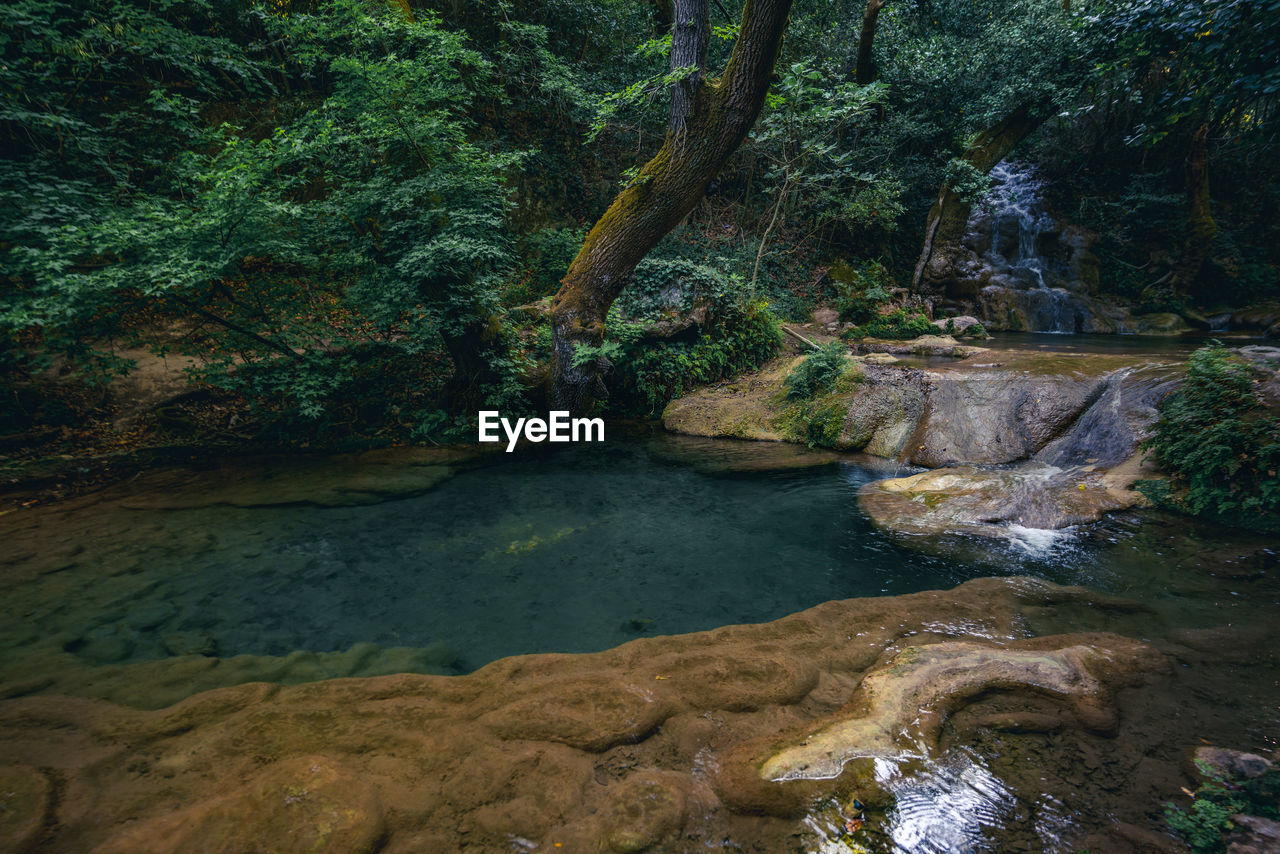 Stream flowing through rocks in forest