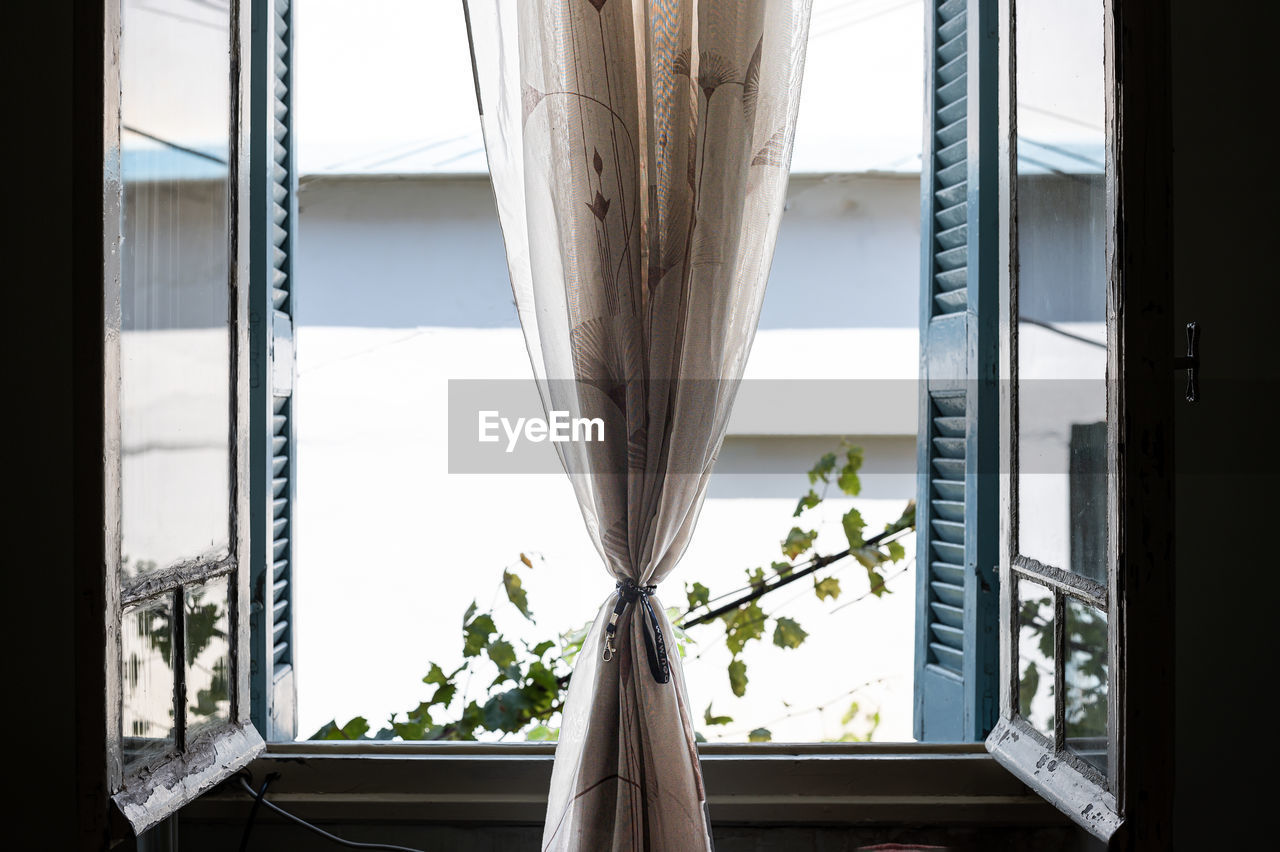 Close-up of  an open window with curtains and a plant outside.