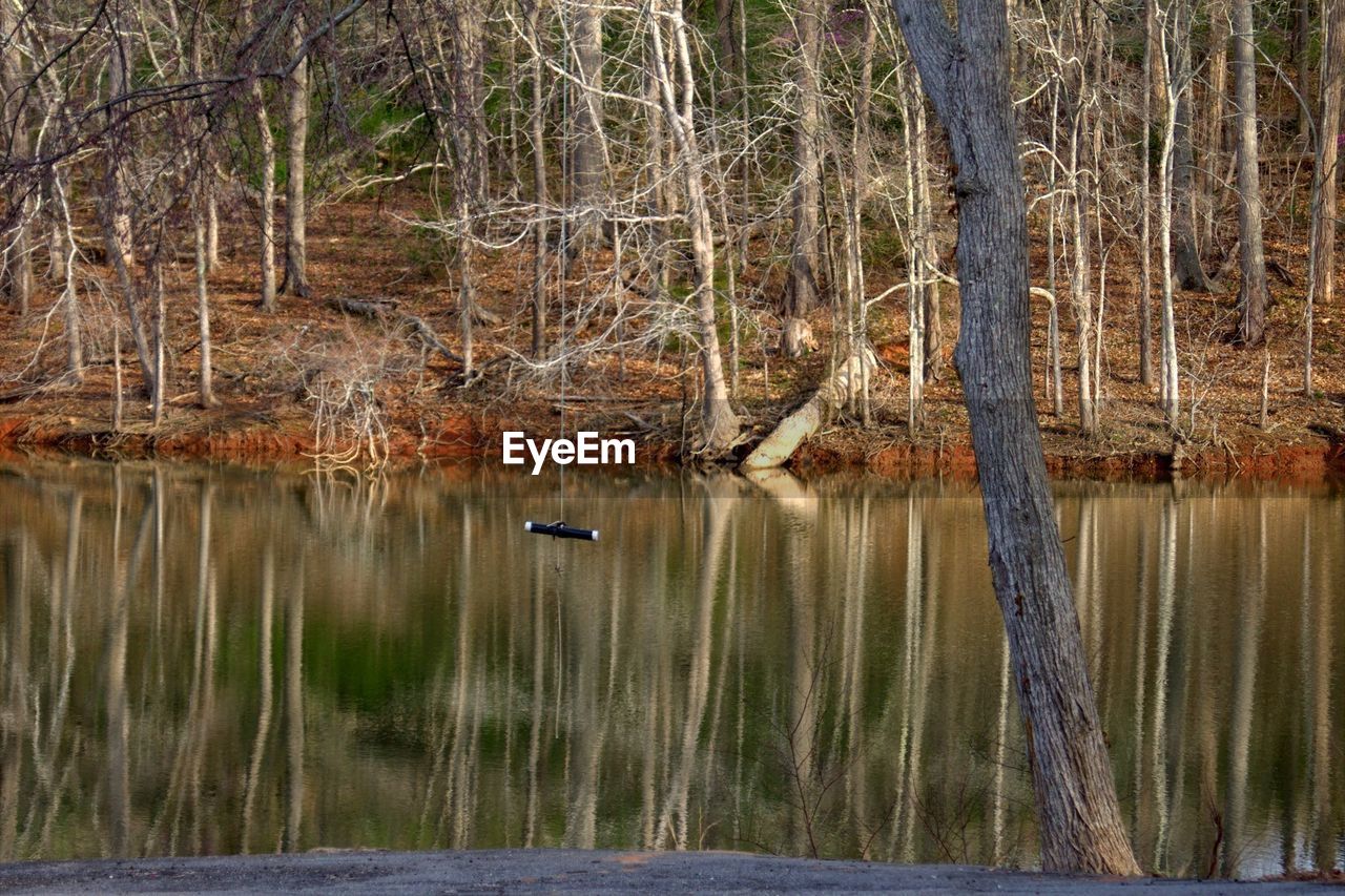 Scenic view of calm lake