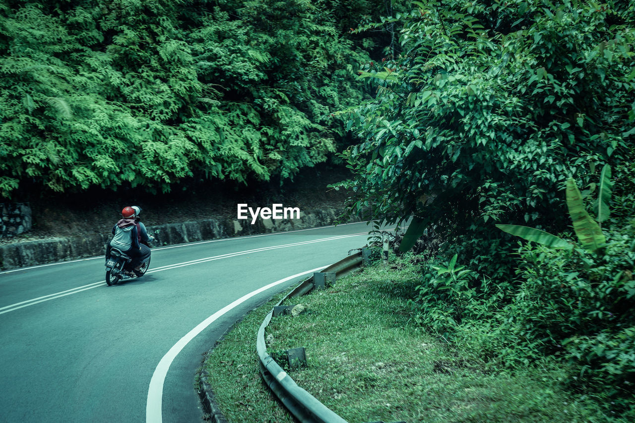 People riding motorcycle on road in forest