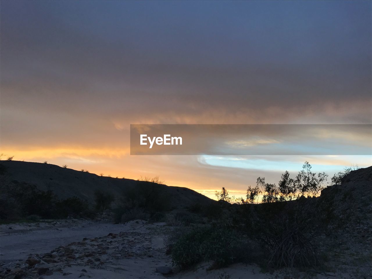 SCENIC VIEW OF TREES AGAINST SKY