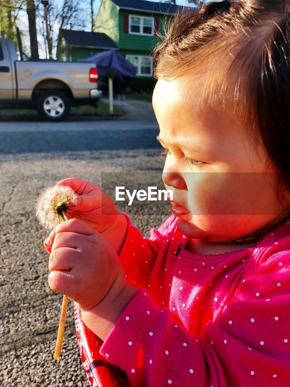 Close-up of baby girl holding dandelion