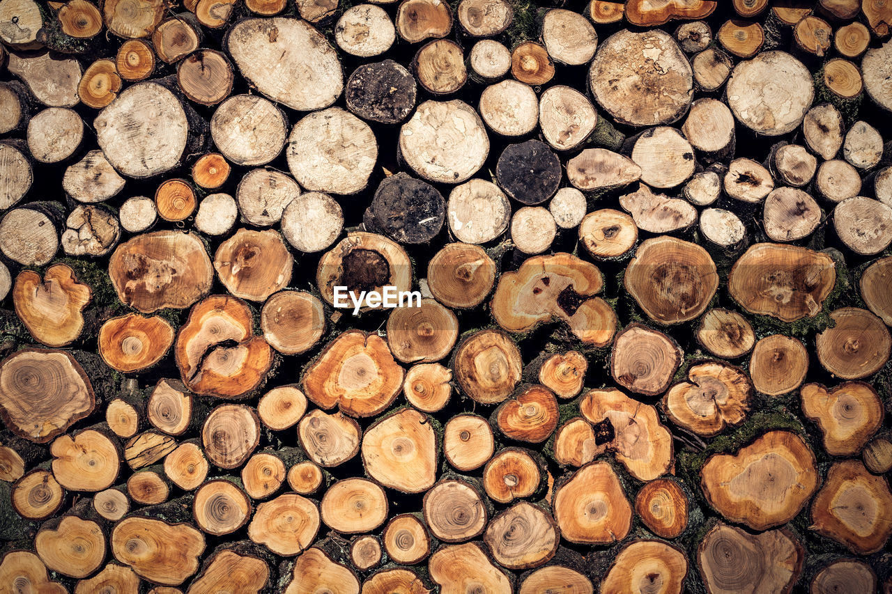 Full frame shot of logs in forest