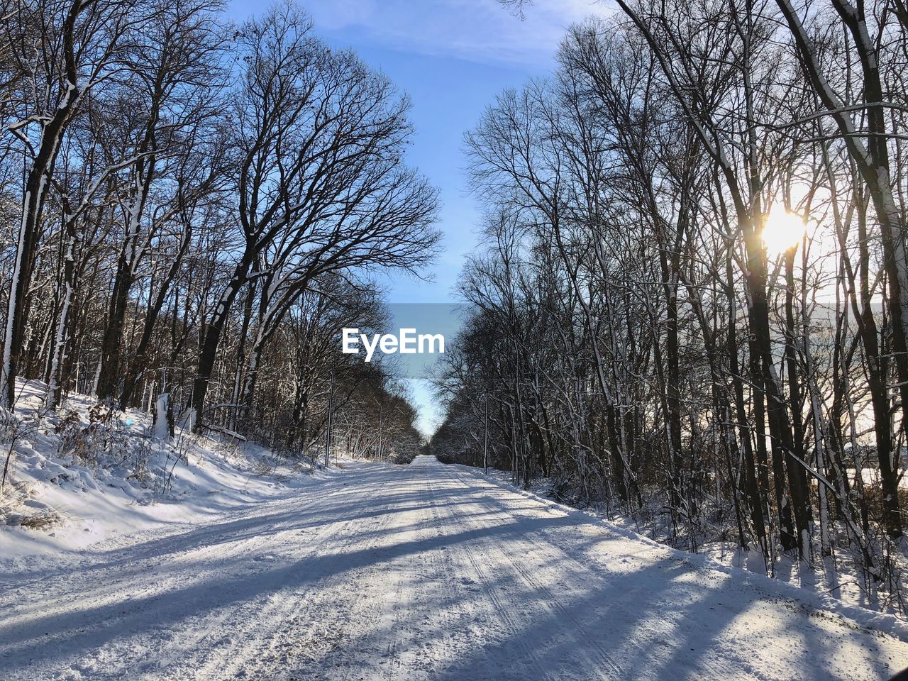 Road amidst trees against sky during winter