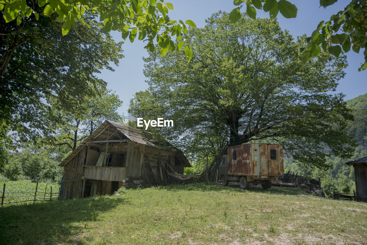 ABANDONED BUILDING BY TREES ON FIELD