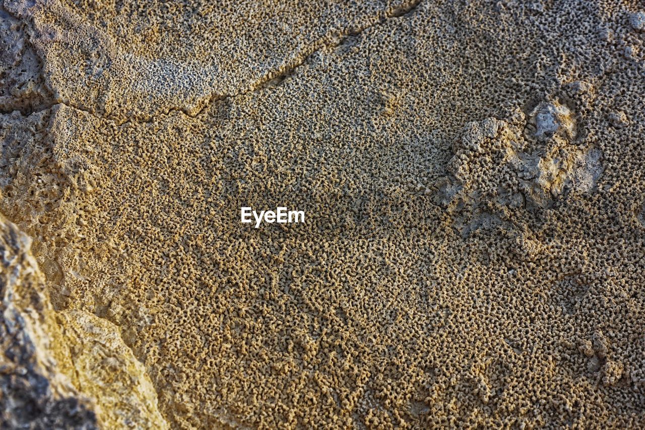 HIGH ANGLE VIEW OF FOOTPRINTS ON BEACH