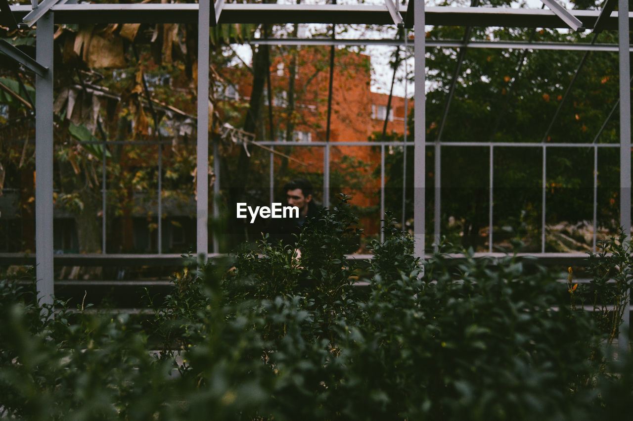 Man sitting by railing seen through plants at park