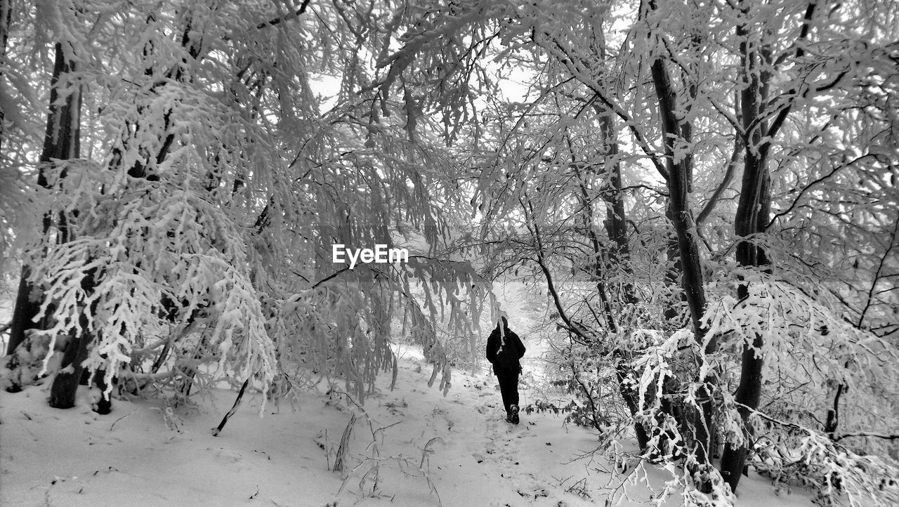 FULL LENGTH OF MAN WALKING ON SNOW COVERED TREES