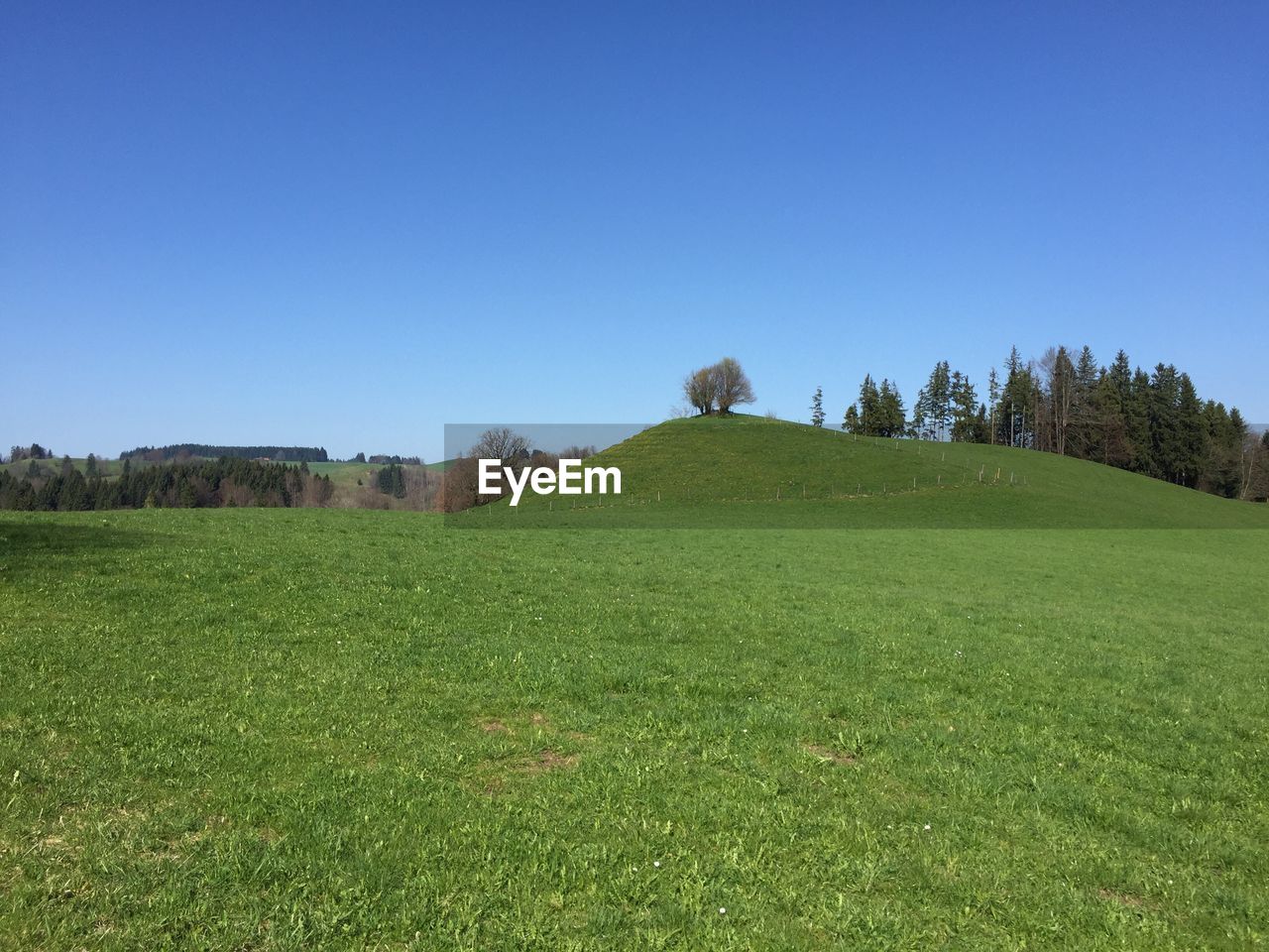 SCENIC VIEW OF GREEN FIELD AGAINST CLEAR BLUE SKY
