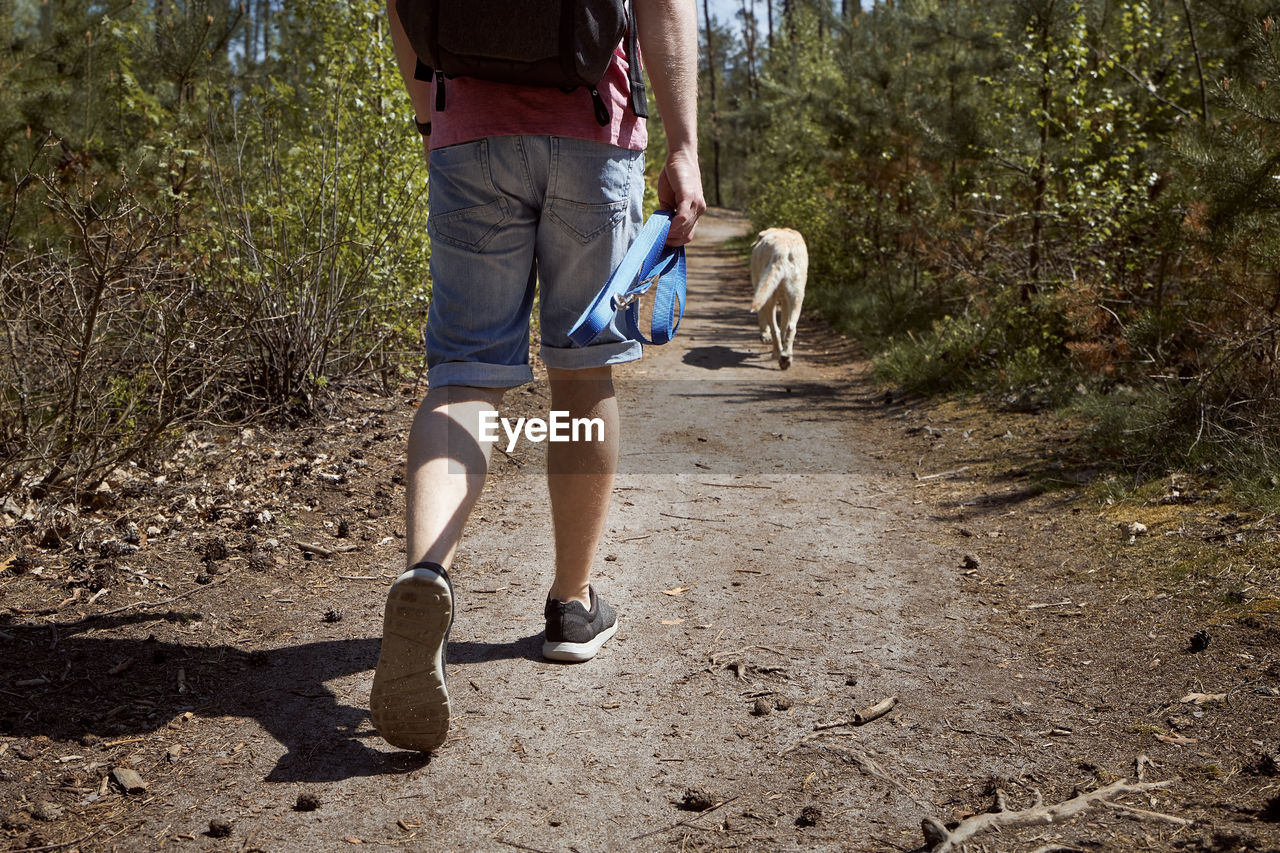 Rear view of woman walking with dog on street