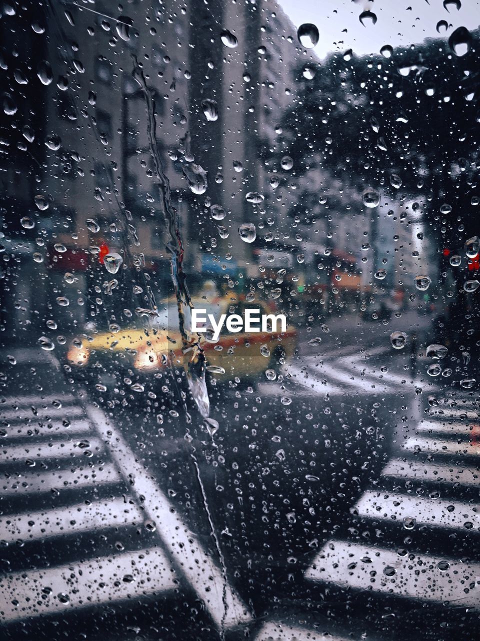 VIEW OF RAIN DROPS ON ROAD