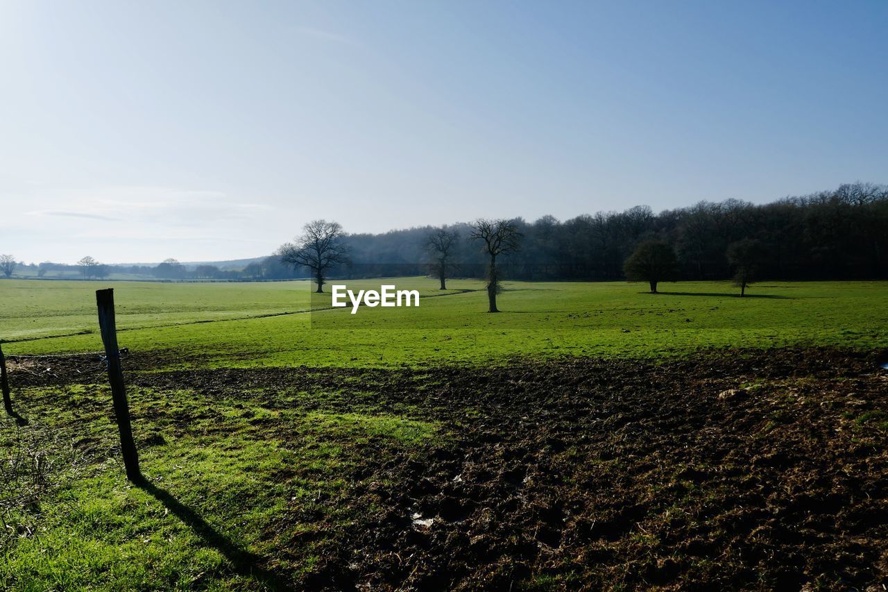 SCENIC VIEW OF GRASSY FIELD AGAINST SKY