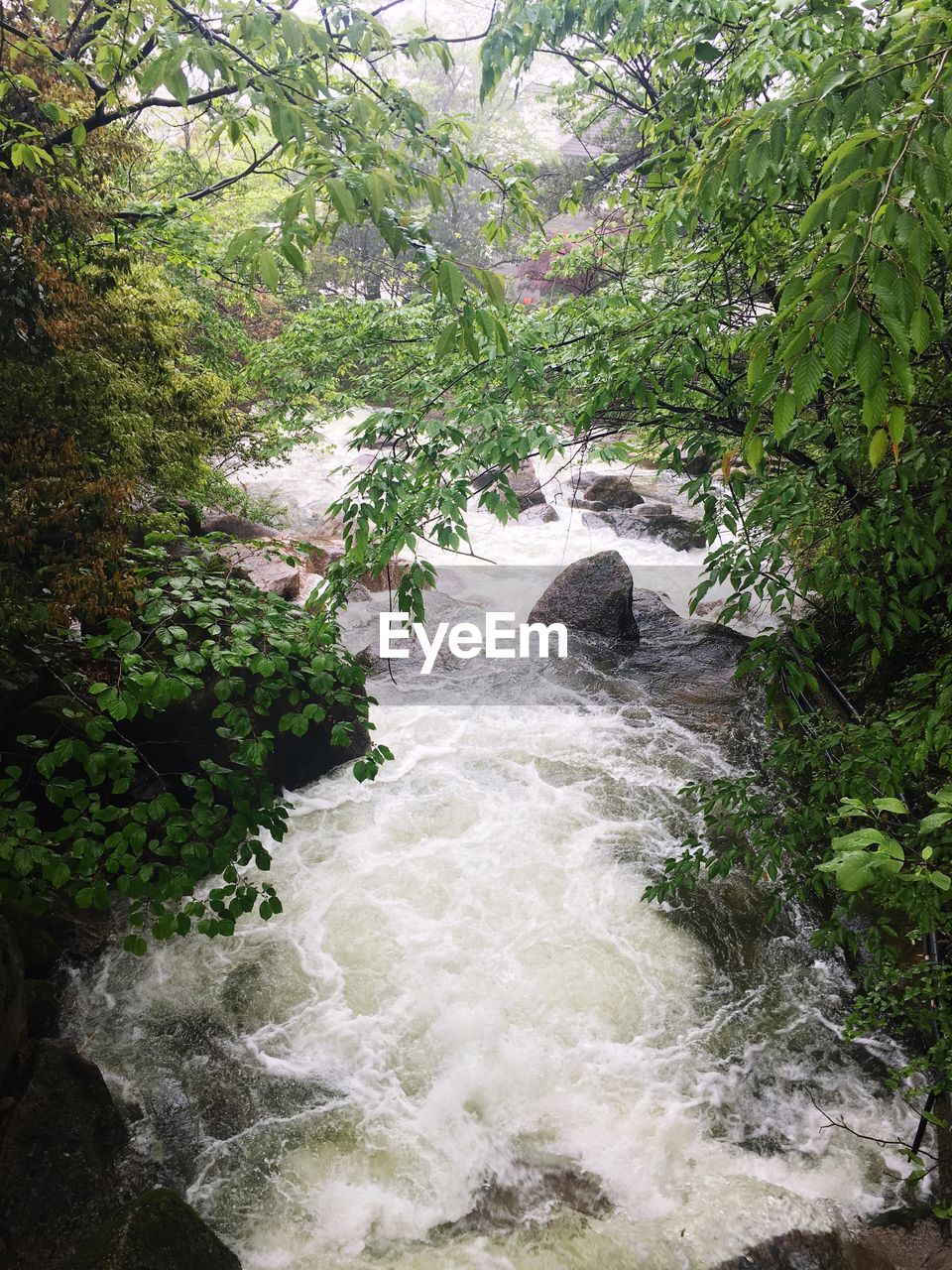 STREAM FLOWING THROUGH ROCKS