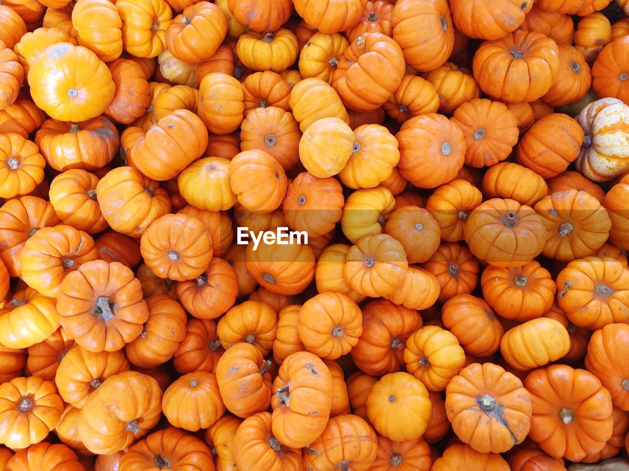 Full frame shot of pumpkins at market