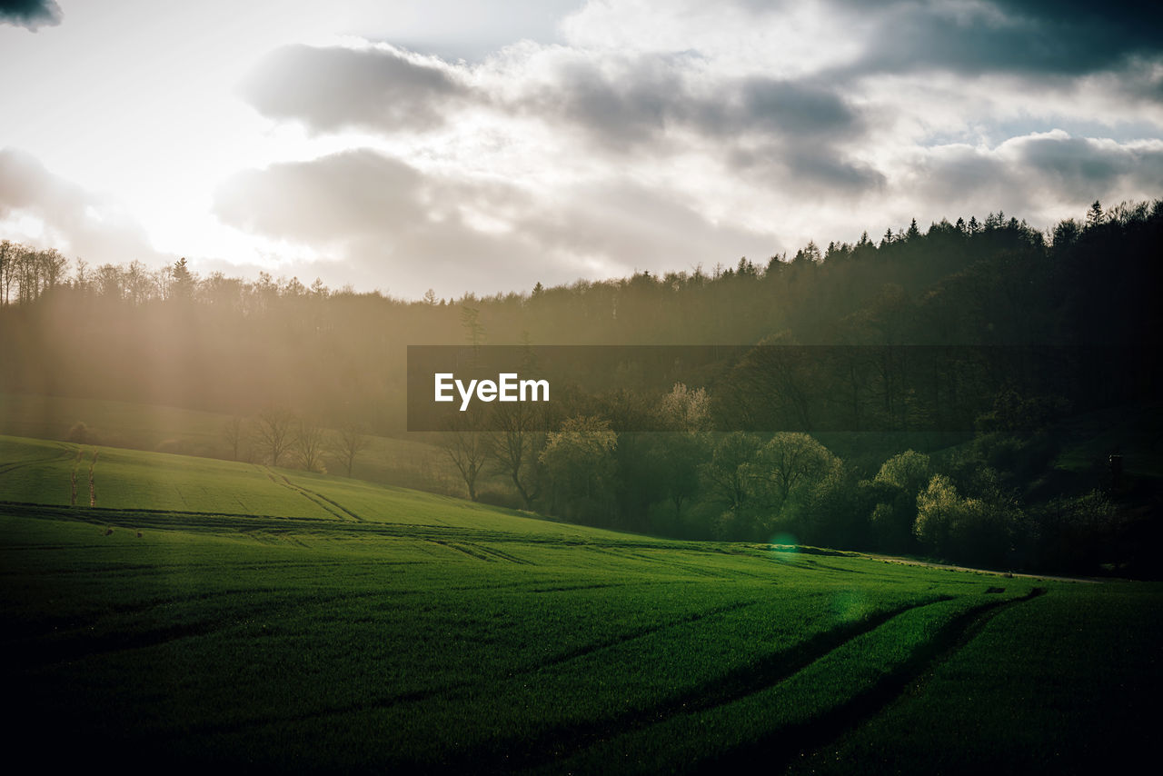 Scenic view of landscape against sky