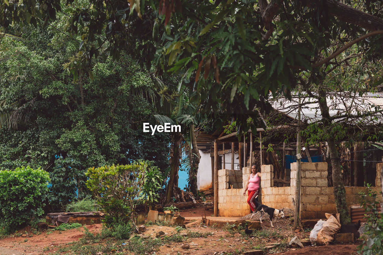 REAR VIEW OF WOMAN STANDING BY TREES