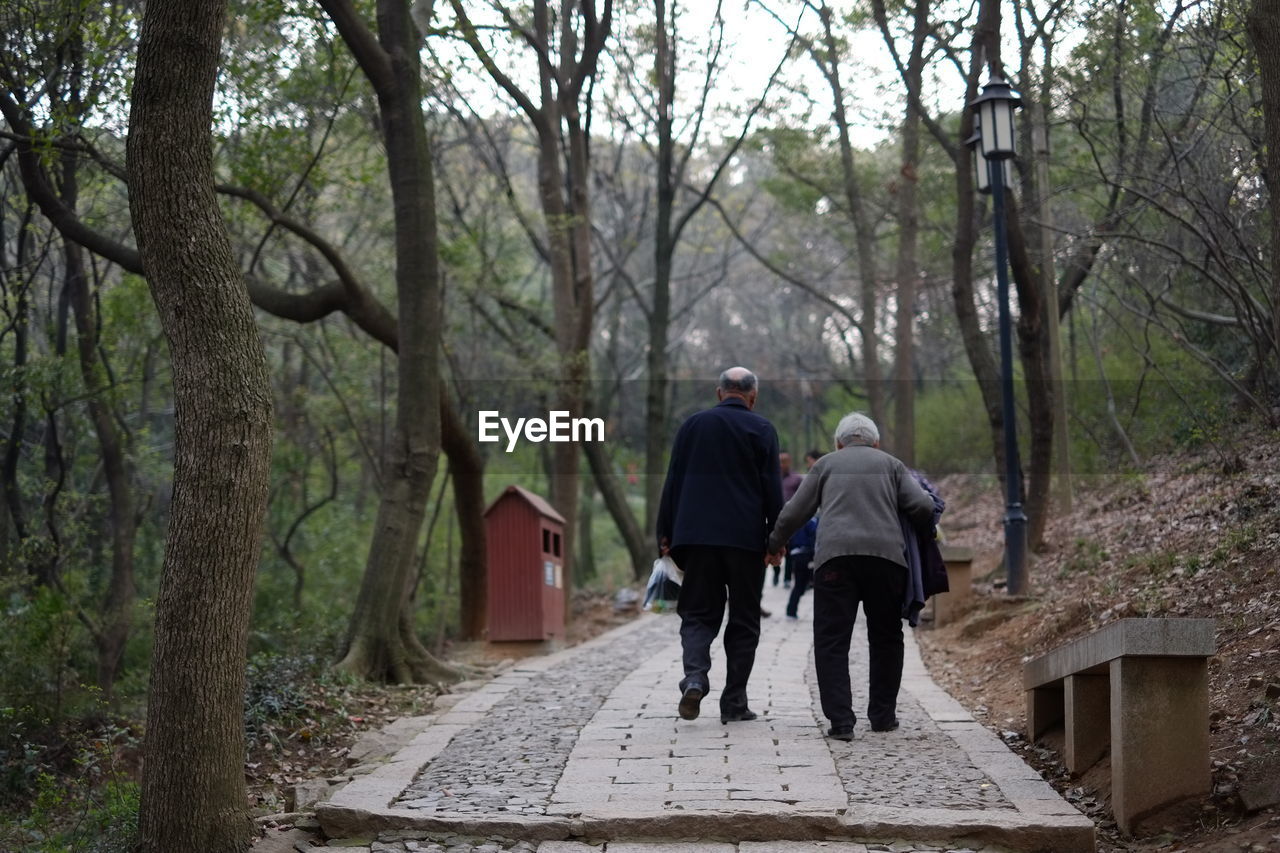 Rear view of couple walking in forest