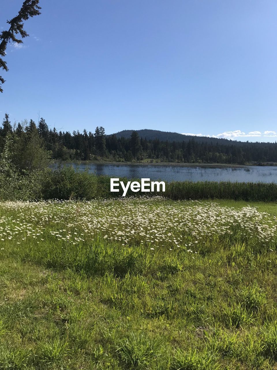 SCENIC VIEW OF LAND AGAINST SKY