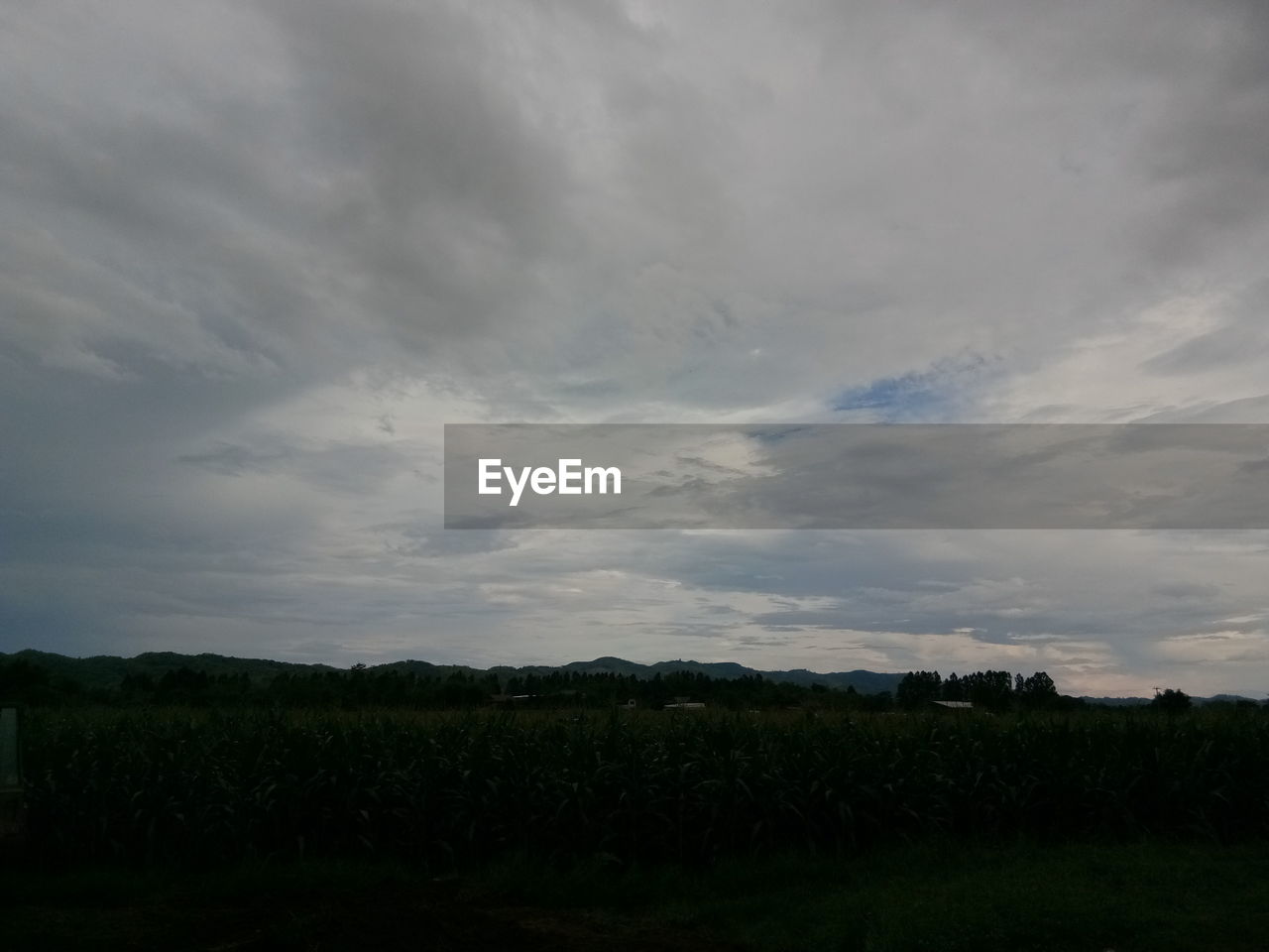 SCENIC VIEW OF LAND AGAINST SKY