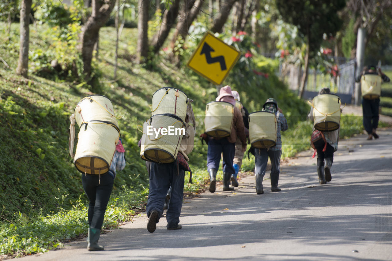 Rear view of farmers carrying baskets on road