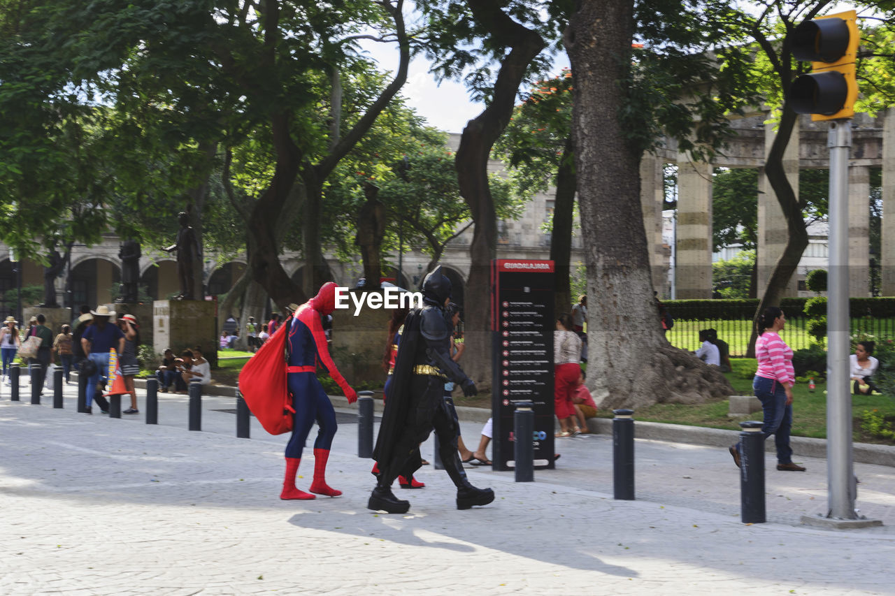 TOURISTS WALKING ON TREE