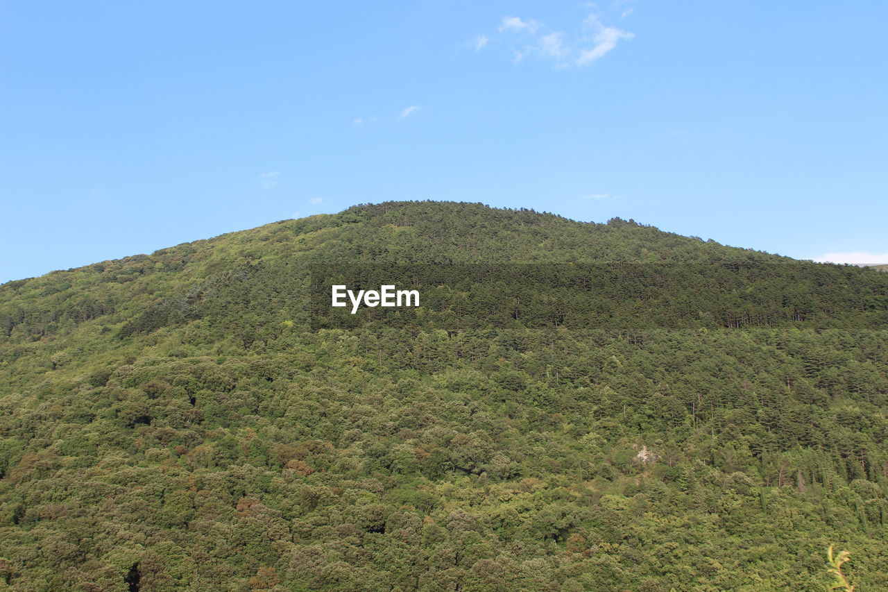 Scenic view of landscape against blue sky