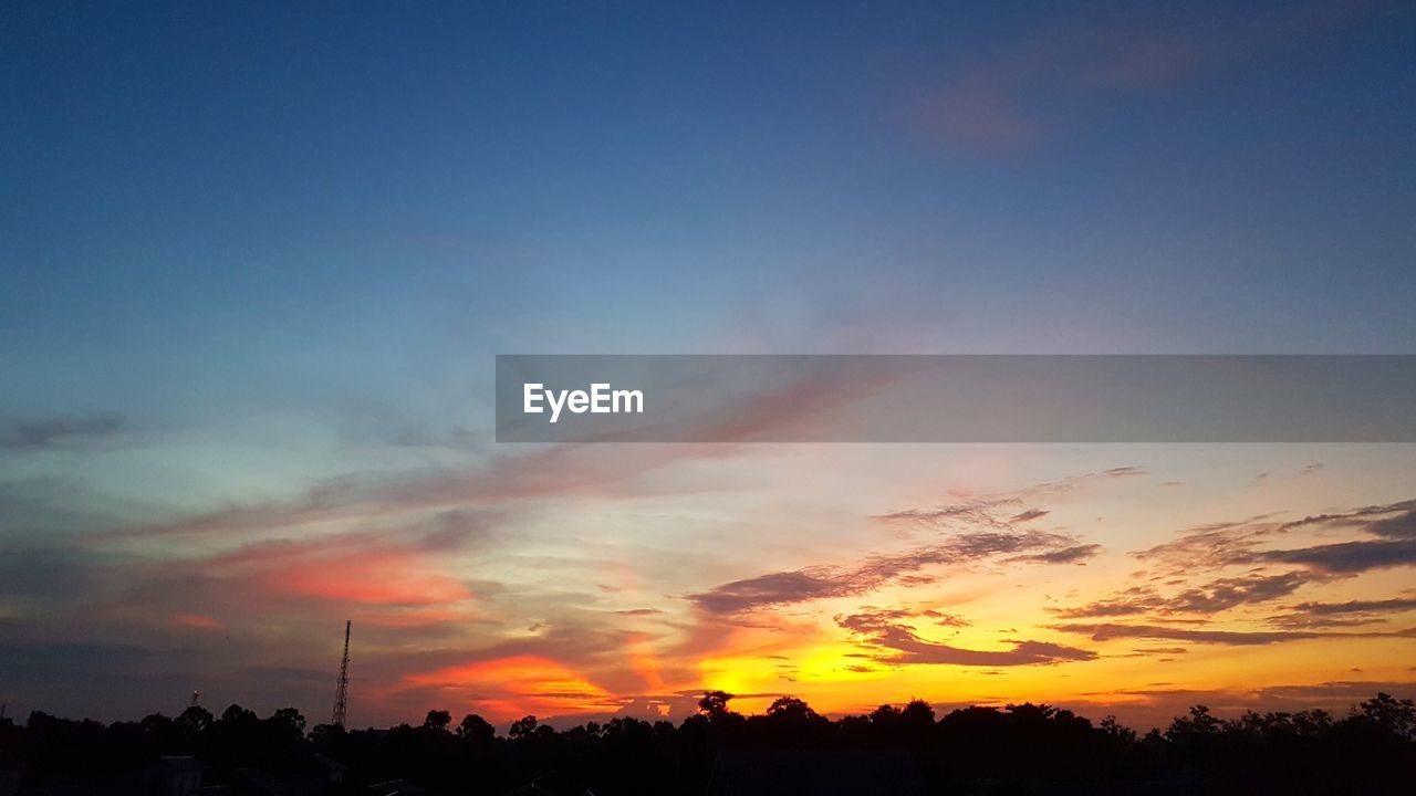 SILHOUETTE TREES ON LANDSCAPE AGAINST SKY AT SUNSET