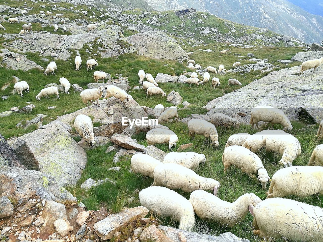 SCENIC VIEW OF LAKE BY MOUNTAIN