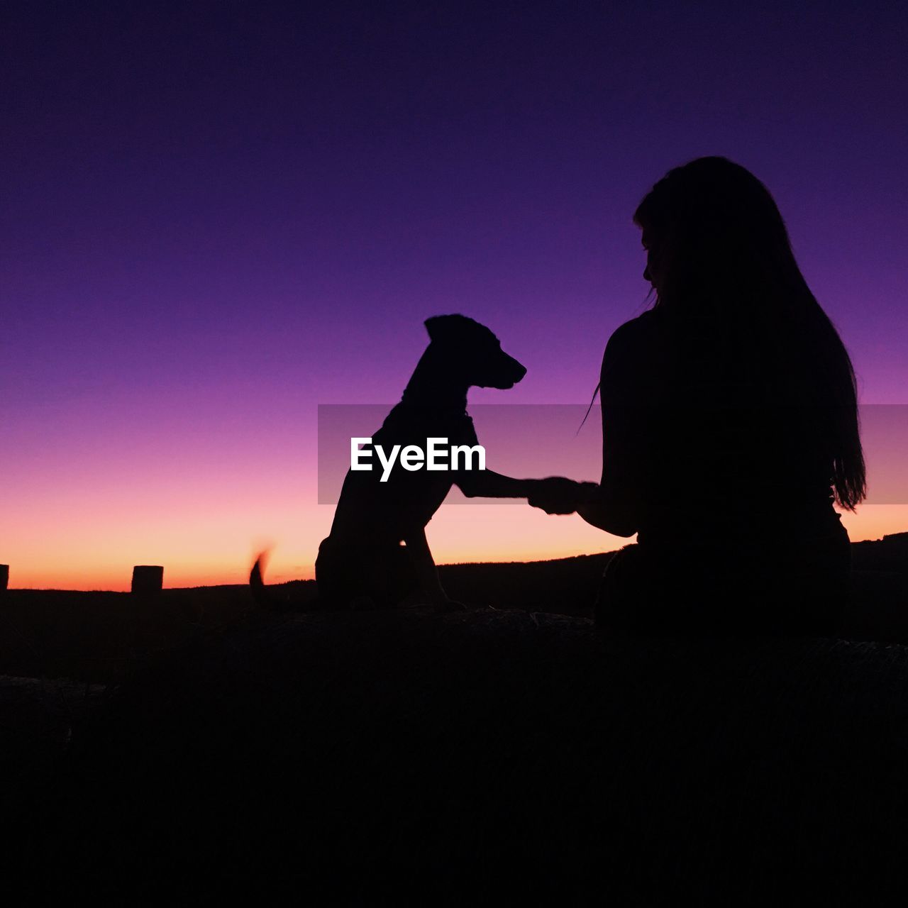 SILHOUETTE PEOPLE WITH DOG AGAINST SKY DURING SUNSET