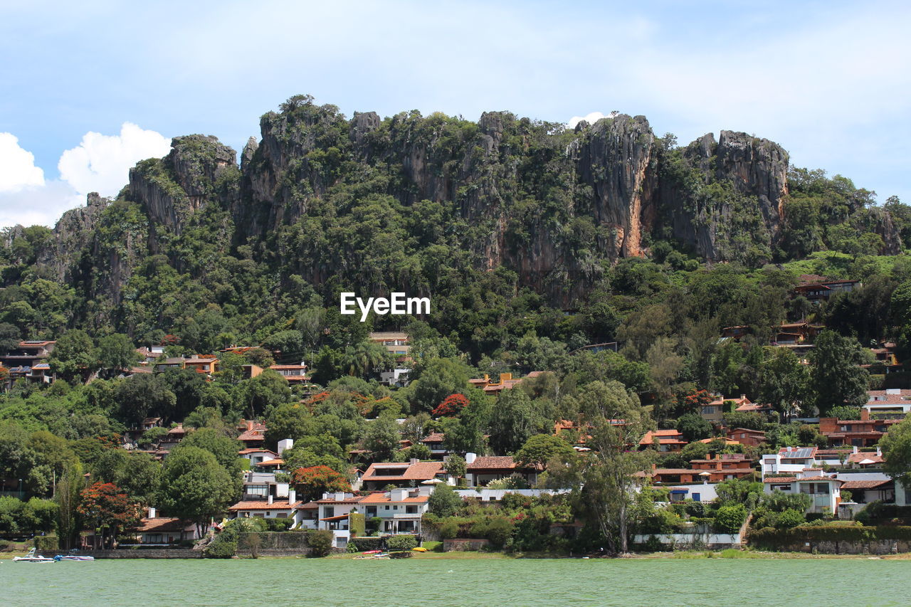Scenic view of trees against sky
