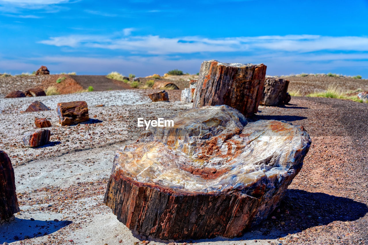 WOOD ON ROCK