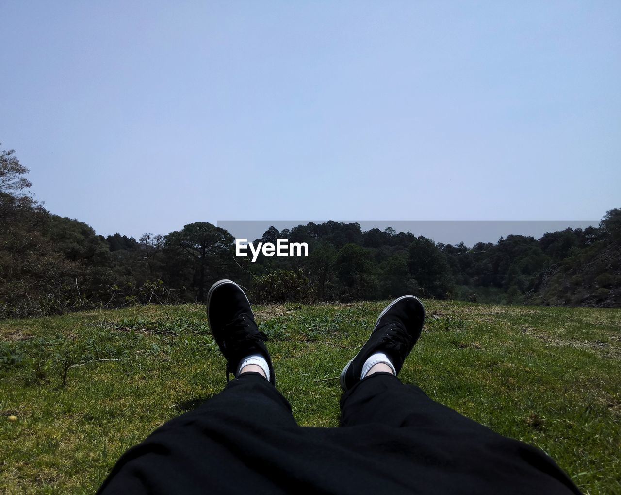 Low section of man sitting on grassy field against clear sky during sunny day