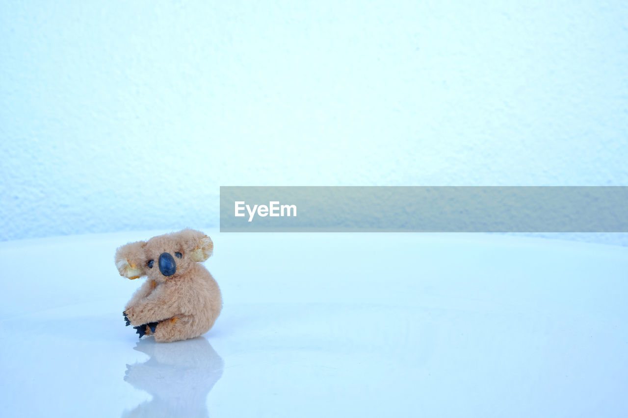 Close-up of koala stuffed toy on ice rink