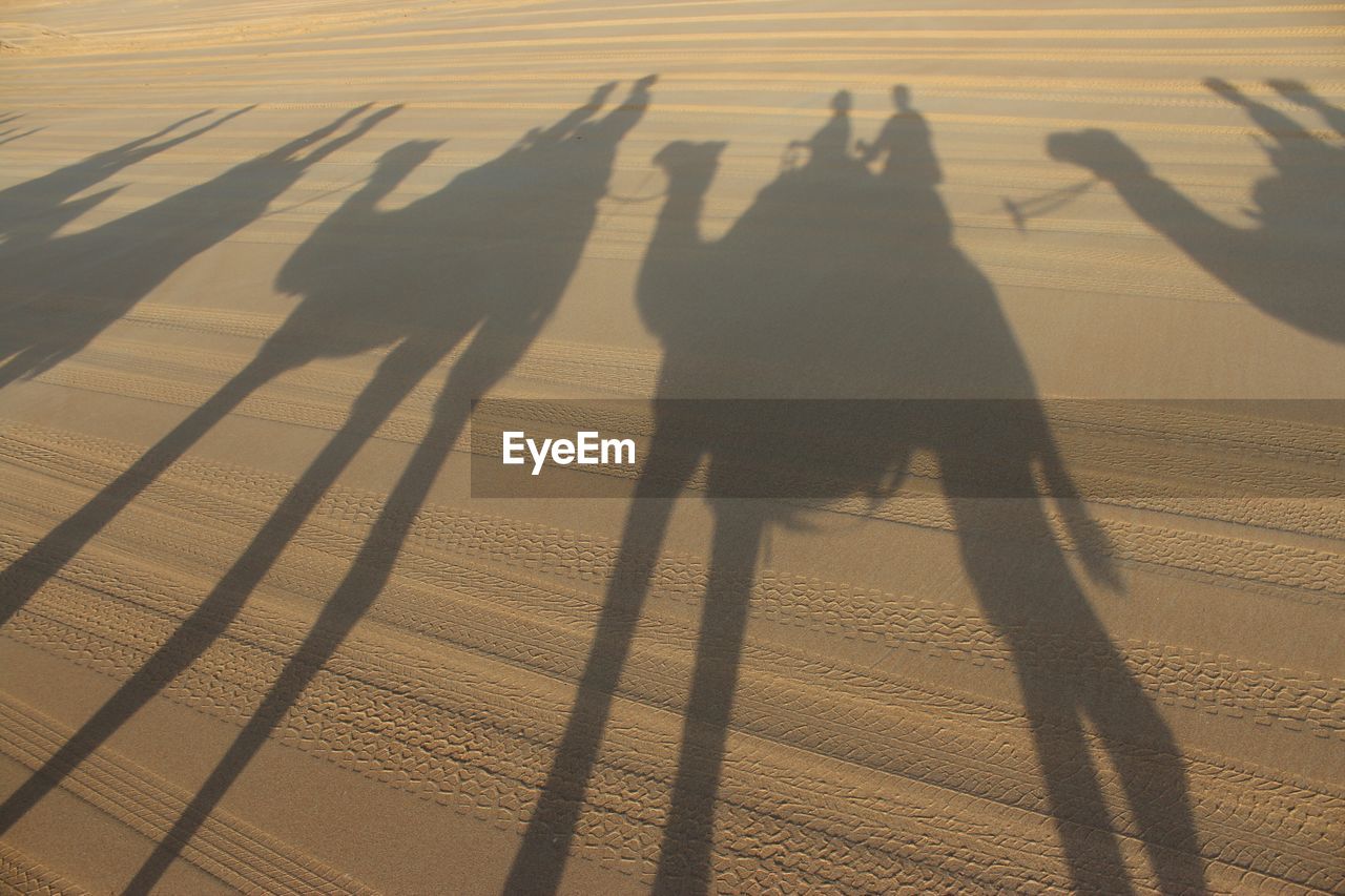 Shadow of people riding camel falling on sand at beach