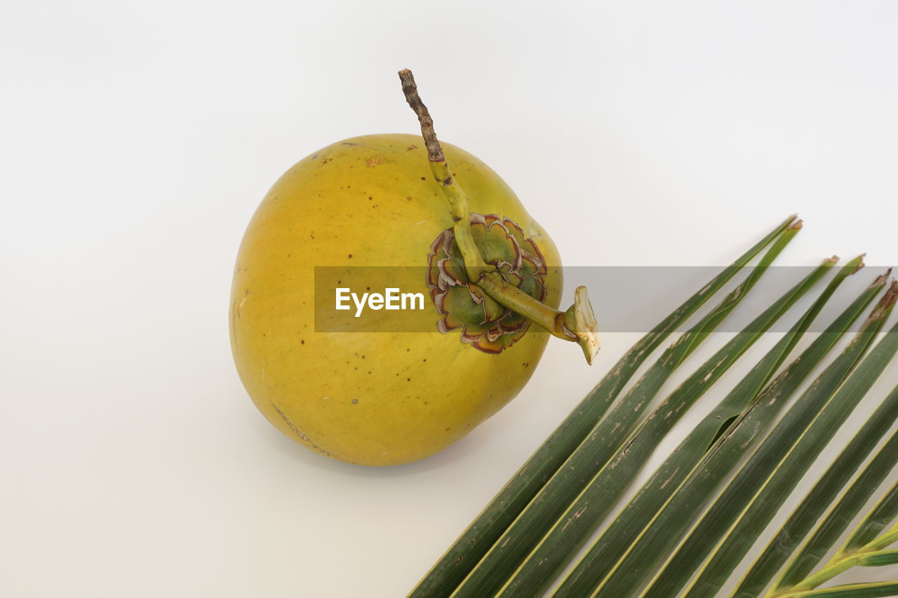 plant, food and drink, food, healthy eating, fruit, yellow, wellbeing, produce, freshness, no people, nature, leaf, studio shot, green, tropical fruit, tree, plant part, tropical climate, cut out, branch, close-up, indoors, still life, environment