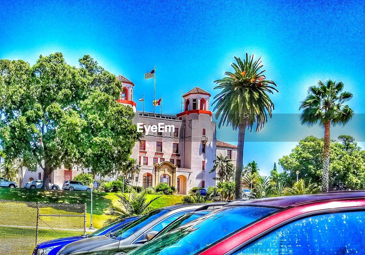 PALM TREES AND PLANTS AGAINST BLUE SKY AND BUILDING