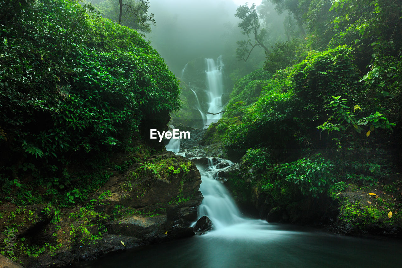 Waterfall in forest