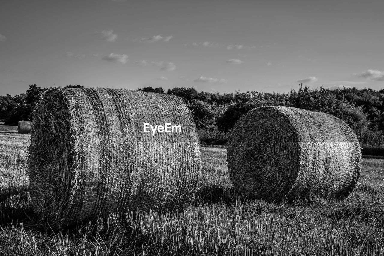 Hay bales on field against sky