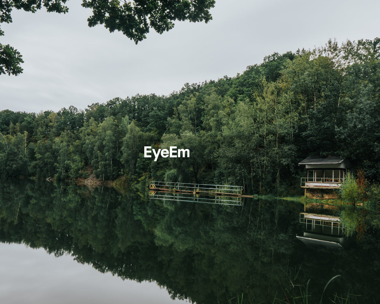 SCENIC VIEW OF LAKE AGAINST TREES