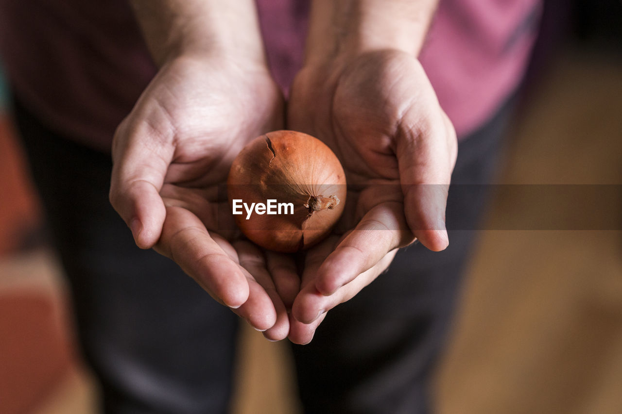 Close-up view of hands holding an onion