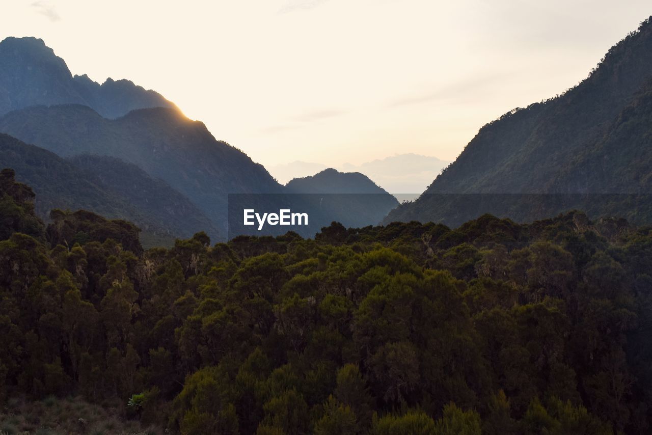 Scenic view of mountains at sunset at rwenzori mountains 