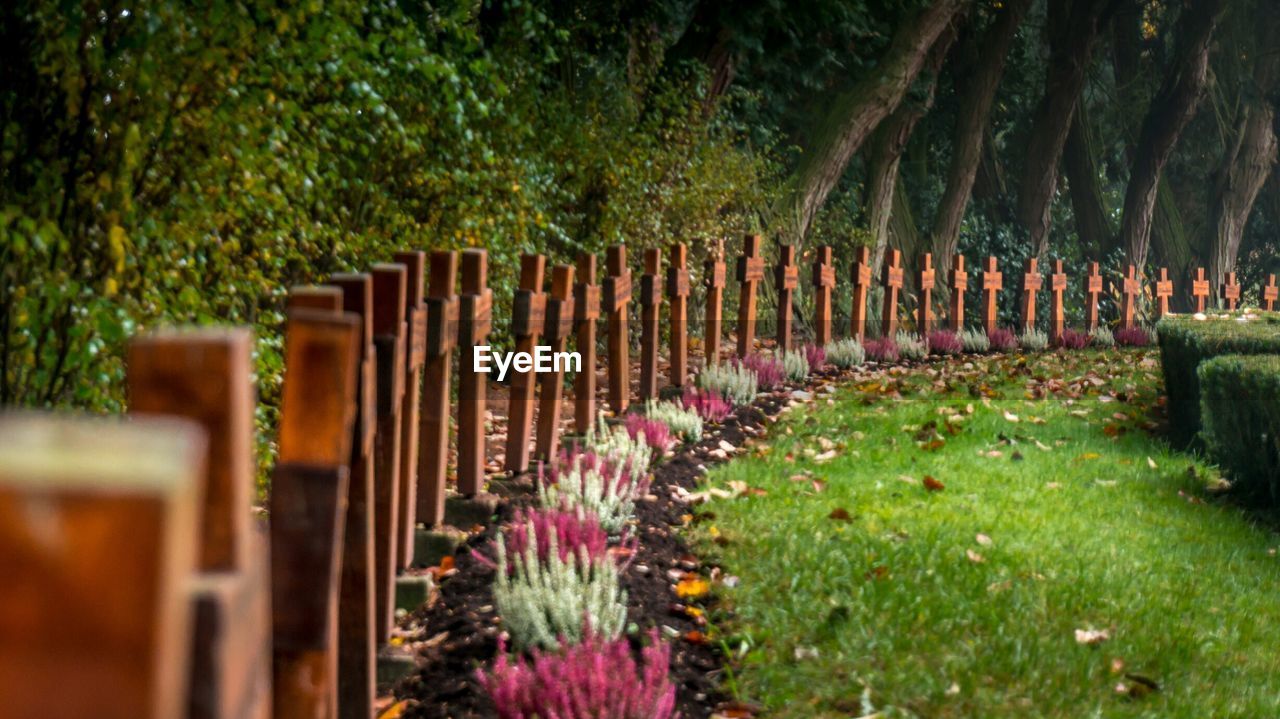 Cemeteries with cross at graveyard against trees