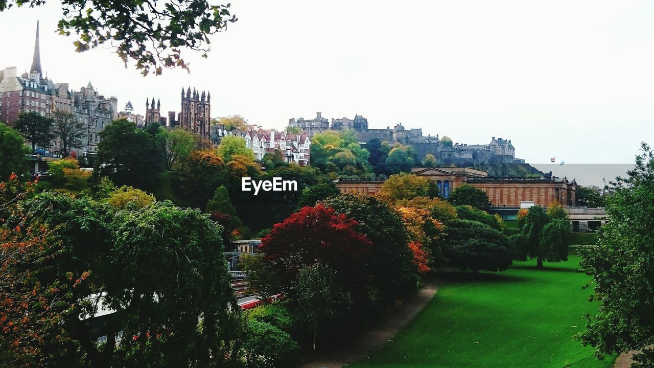 TREES IN PARK AGAINST SKY IN CITY