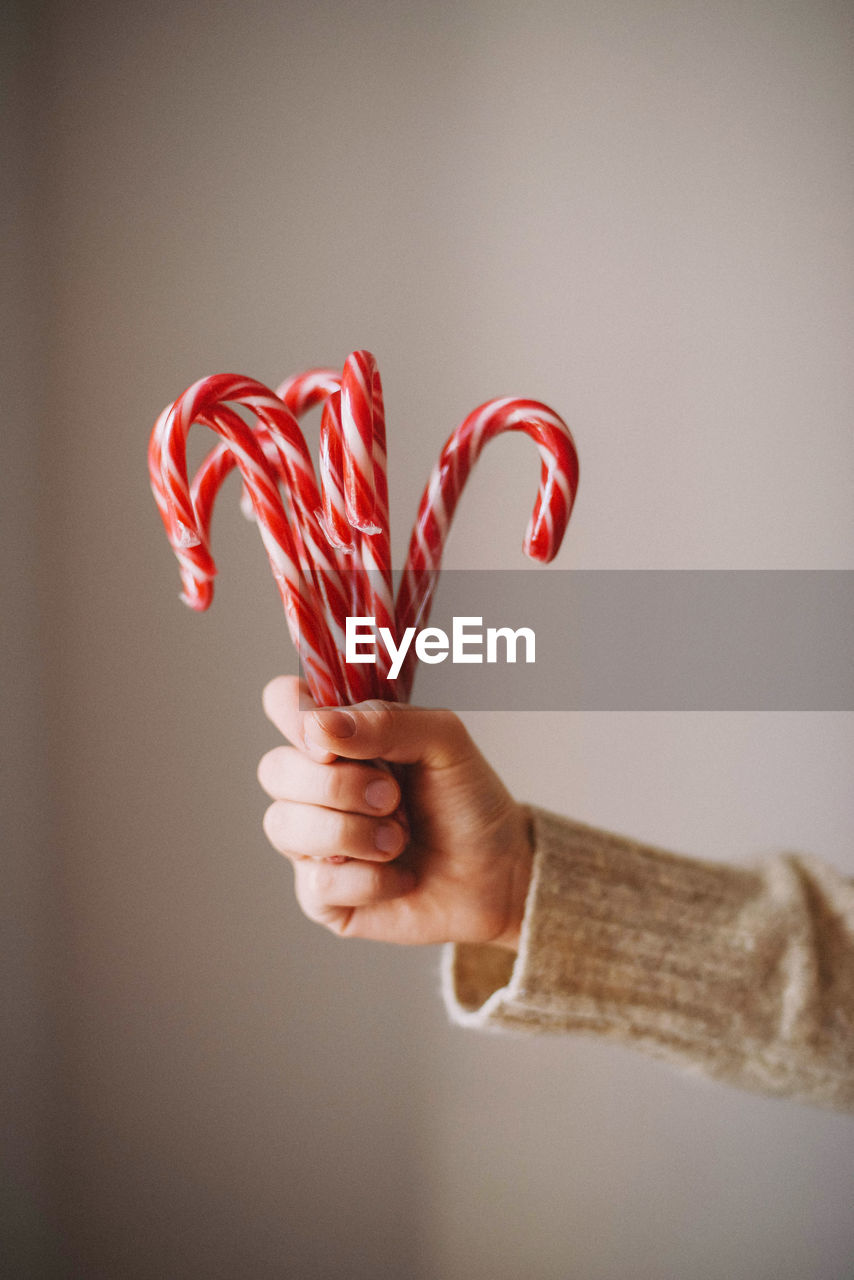 Cropped hand of woman holding candy canes in cup against wall