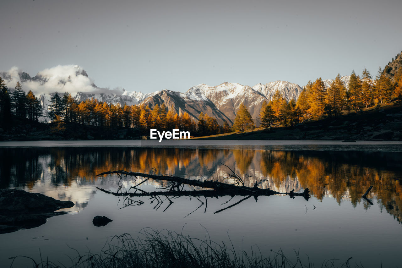 Scenic view of lake by snowcapped mountains against sky, reflection of a branch in the lake
