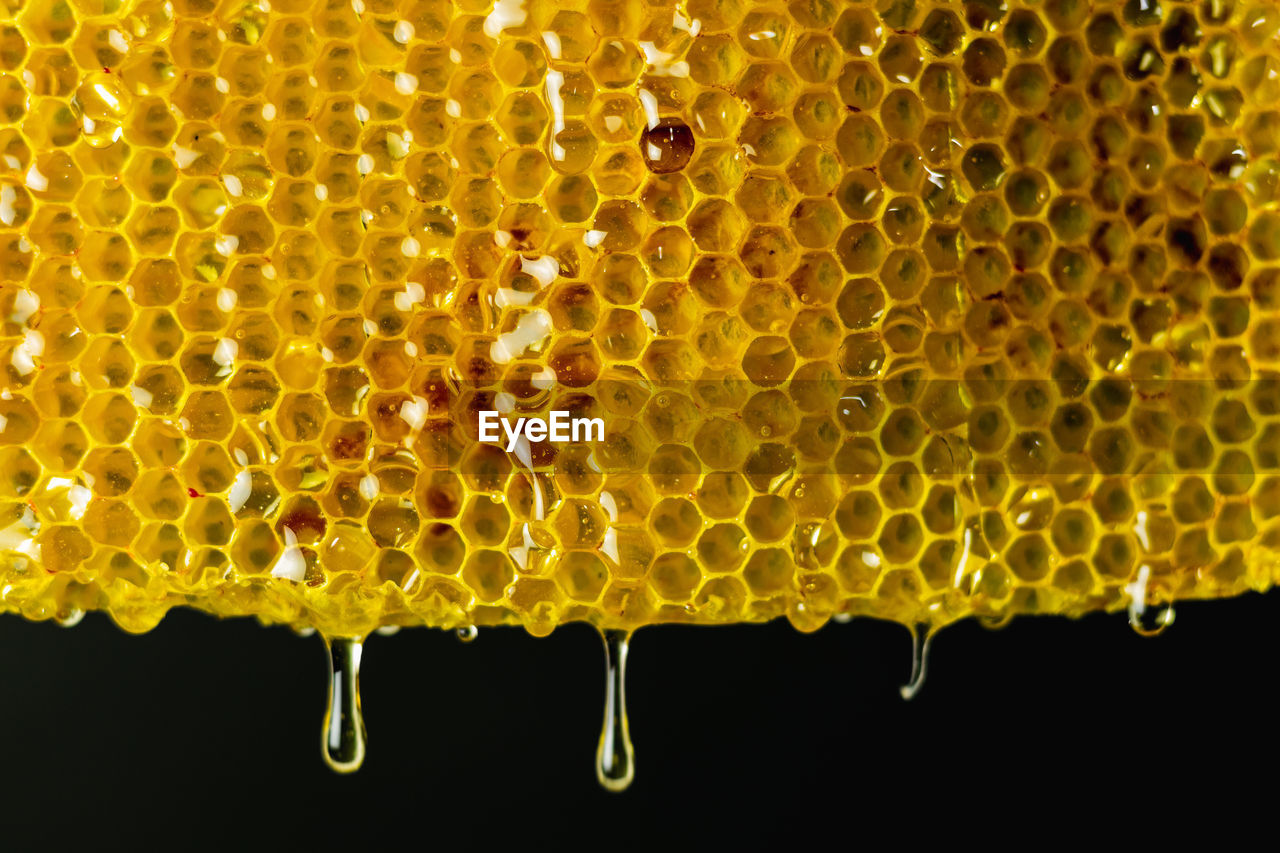 Closeup of yellow honeycomb with sweet liquid honey dripping on black background in studio