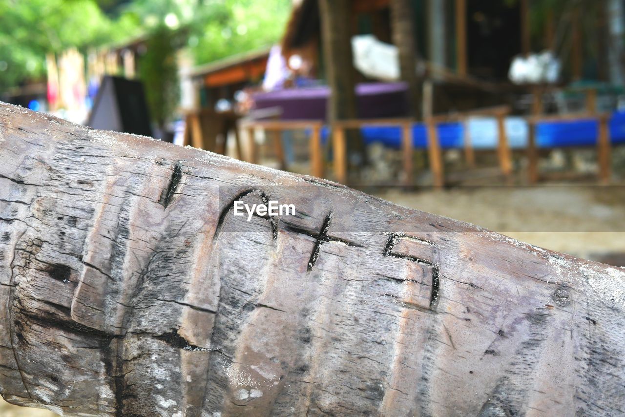 CLOSE-UP OF WET WOOD